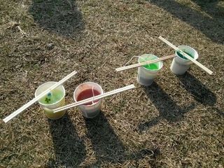 IMG_2012121526742.jpg