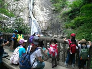 IMG_201307190849.jpg