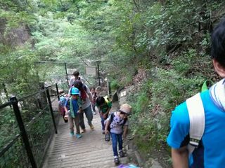 IMG_2013071930677.jpg