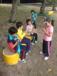 image-20121013201124.png