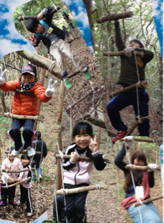image-20121124211313.png